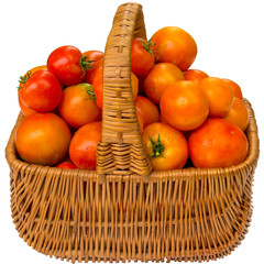 Fresh tomatoes in a basket on a white background.