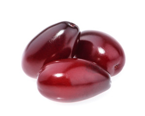 Red berries of cornel or dogwood isolated on white