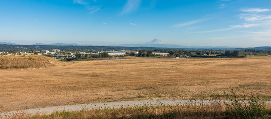 Late Summer Mountain Landscape
