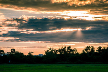 Fototapeta na wymiar Beautiful sunset and dark clouds on rice fields with trees and big mountain background in Phrae Thailand.