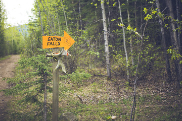 sulphur gates grande cache hike © Libor