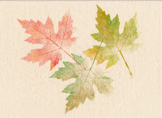 Herbstblätter