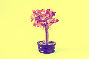 Money tree on an orange background.