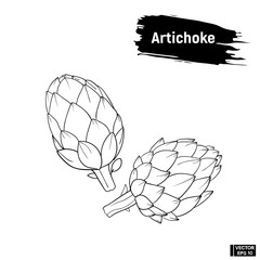 Artichoke sketch, vegetarian products.