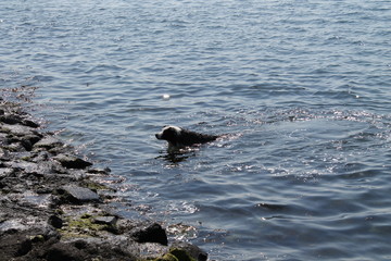 oosterschelde