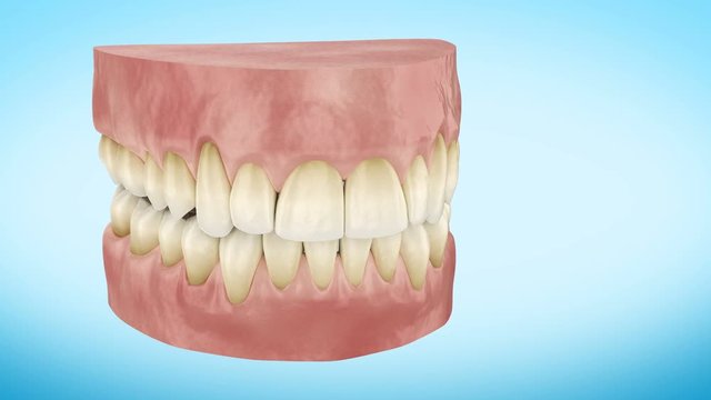 Dirty Yellow Teeth Turning Close Up 3d Animation. Alpha Channel. Ultra HD 4k 3840x2160.