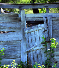 Background of Shed and Door