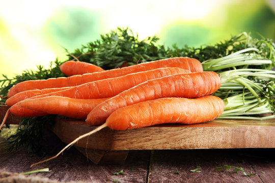 Fresh organic carrots with green leaves on wooden background. Vegetables. Healthy food