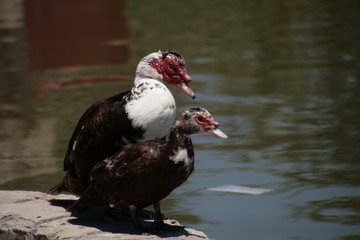 Highlights from Turkey