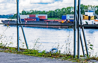 Mooring shackle with a barge in the background