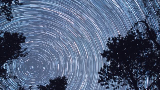 star trails in a fores MEDIUM LENGTH