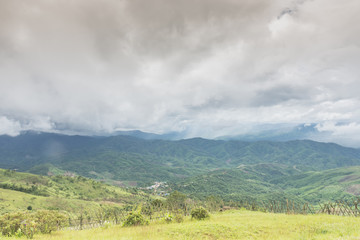Obraz na płótnie Canvas Mountain and Cloud ,Doi Chaang mup, Chiang Rai province,Thailand.
