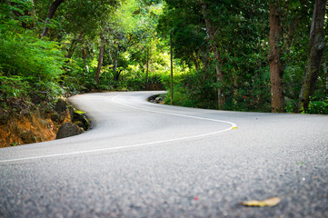 Beautiful asphalt road in palm jungle.