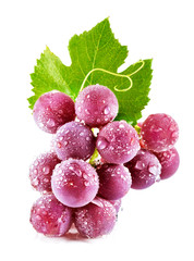 Pink wet grapes bunch isolated on white background