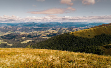 Obraz premium Beautiful view of the Carpathian mountains in summer.