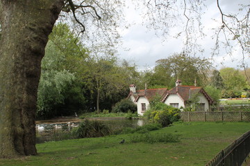 Obraz premium london