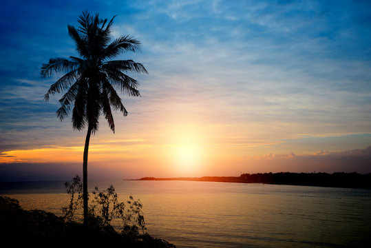 Silhouette Tropical Sunset with Coconut Palm Trees on the Beach in Summer - Nature Background © Platoo Studio