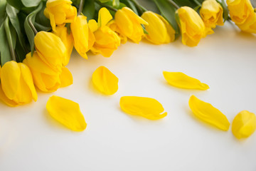 Love, romance, greetings, celebration concept - yellow tulips on white background. delicate petals from a Tulip