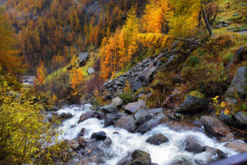 yellow larch and waterfalls in the autumnal Alps