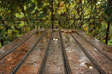 Fototapeta premium wet wooden table after rain