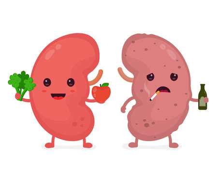 Kidney Cartoon Images – Browse 7,720 Stock Photos, Vectors, and Video | Adobe Stock Kidney Cartoon Images – Browse 7,720 Stock Photos, Vectors, and Video | Adobe Stock