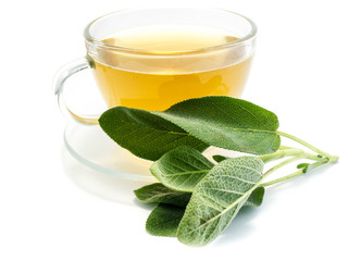 Salbeitee Salbei tee isoliert freigestellt auf weißen Hintergrund, Freisteller
