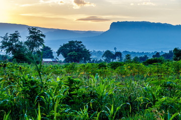 View from the Sipi falls in the Mount Elgon national park in Uganda