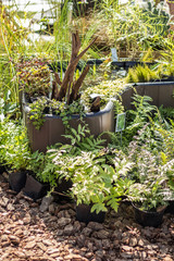 Decorative showcase in the garden center, vertically.