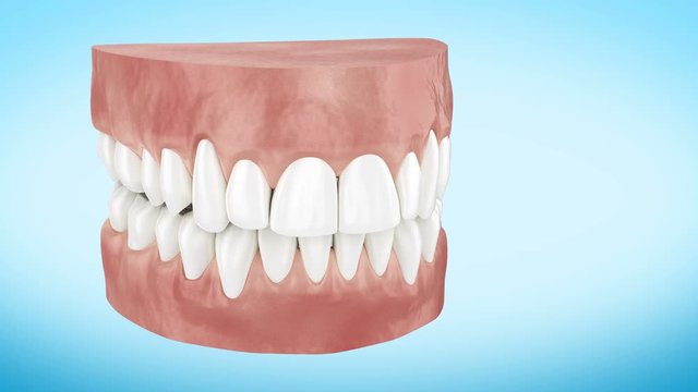 Beautiful White Clean Teeth Turning Close Up 3d Animation. Alpha Channel. Ultra HD 4k 3840x2160.
