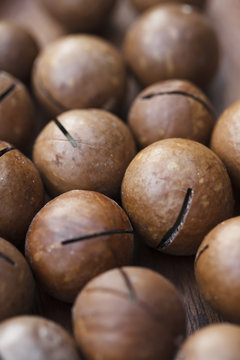 Macadamia nuts