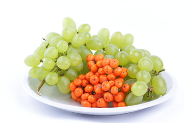 Green grapes and orange ashberry on a white background on a plate in minimalism style