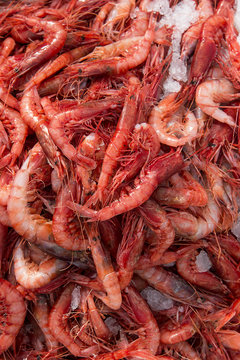Red prawns on a market