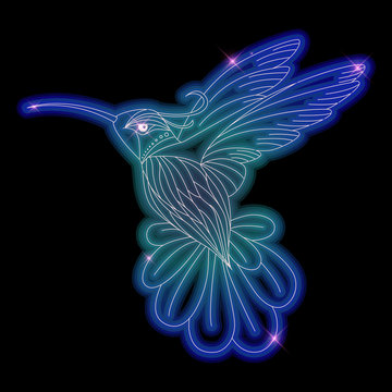Hummingbird neon shiny vector illustration