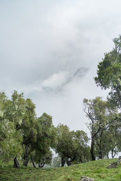 Simien Mountains