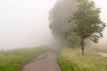 The bike path in the fog
