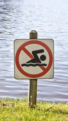 NO SWIMMING sign with lake in background and grass in foreground. Vertical.