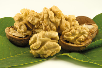 stack photo macro walnut kernel close-up on leaves on white background