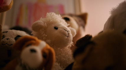 Stuffed animals in child's room