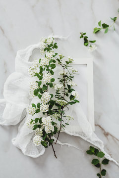 White frame with spring flower