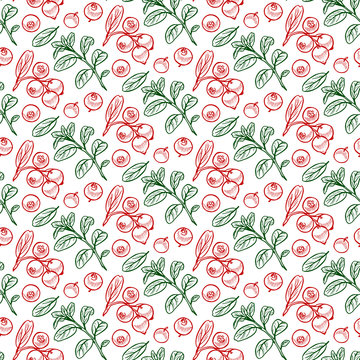 Pretty sketched seamless pattern made of hand drawn cranberries.