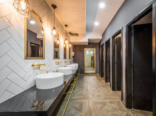 Big and luxury public toilet interior