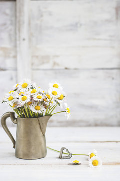 Wild daisies in pewter jug on table