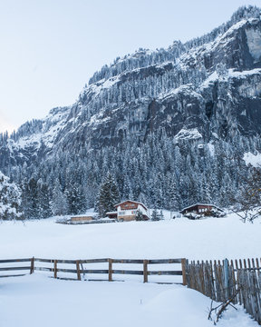 Cabin in the Mountains