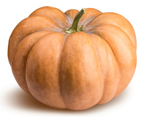 Pumpkin isolated on white, thanksgiving day