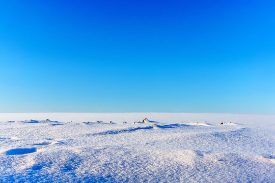 Schneelandschaften-3 Schneebedeckte Felder und Landschaften in Niederbayern