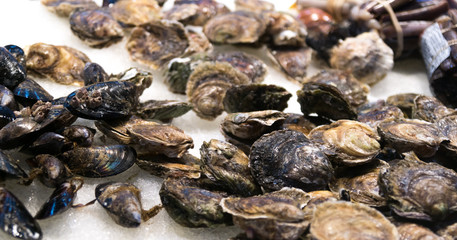fresh oysters in mussels on ice at the fish market in Canary Islands, Spain. Sea food straigh from fisherman
