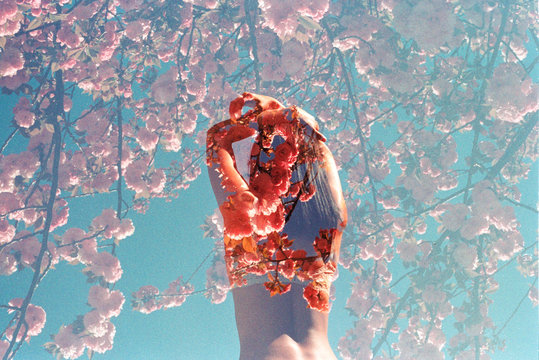 Double exposure of girl posing with arms on head against blue sky surrounded by pink flowers