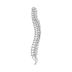 Vector illustration white spine diagnostic symbol, design, sign. Diagnostic center. Flat and solid color style design