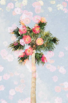 Palm tree fading into flowers