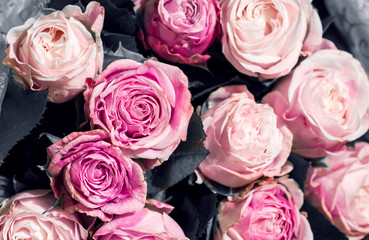 A cold bouquet of beautiful pink roses